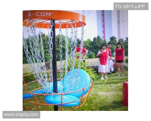 飞盘运动的魅力与激情：深入武汉飞盘队的训练与成长之路